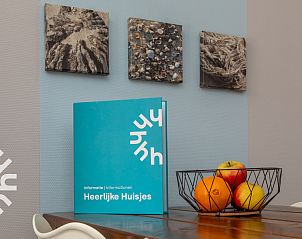 Master bedroom with large window in vacation home ZE1323, Zoutelande, Walcheren for natural light.