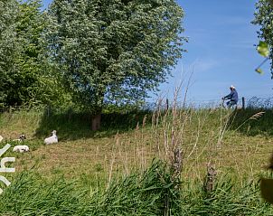 Guest house 6209100 - Holiday property Walcheren - ZE287