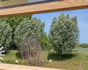 Guest house 6209100 - Holiday property Walcheren - ZE287