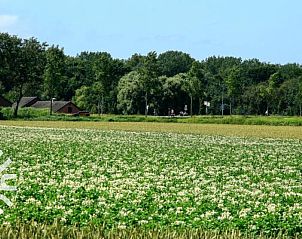 Soccer field at vacation home ZE583 in Vrouwenpolder, Walcheren, perfect for sporting activities in Zeeland.