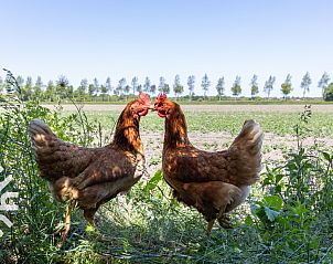 Modern bathroom with shower in vacation home ZE583 in Vrouwenpolder, Walcheren, equipped with all conveniences in Zeeland.