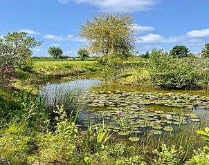 Guest house 6209115 - Holiday property Walcheren - Oranjezon app 4p