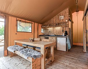 Verblijf 6209124 - Tenthuis Walcheren - Safaritent 6