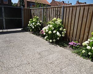 Guest house 620915 - Holiday property Walcheren - Magda Willemse