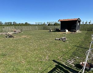 Sheep pasture next to VZ583 Studio Vrouwenpolder in Vrouwenpolder, Zeeland.
