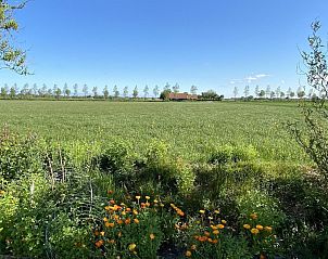 View of green fields from VZ583 Studio Vrouwenpolder, Walcheren.