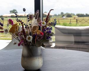 Guest house 620928 - Holiday property Walcheren - Vakantiehuisje in Vrouwenpolder