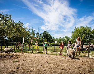 Verblijf 620929 - Vakantiewoning Walcheren - Vakantiehuis Oranjezon C