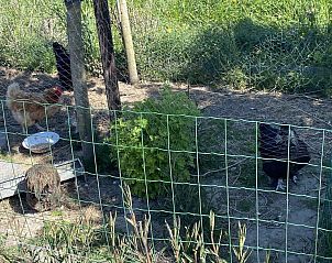 Guest house 620941 - Holiday property Walcheren - VZ740 Vakantiewoning Vrouwenpolder