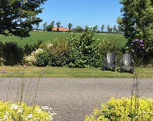Restful view in the garden of Holiday home in Vrouwenpolder, Walcheren, Zeeland with seating.