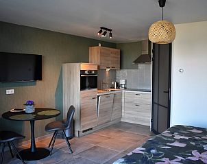 Compact kitchen in Holiday Home in Vrouwenpolder, Walcheren, Zeeland with modern appliances.