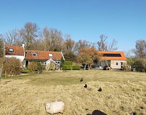 Guest house 620980 - Holiday property Walcheren - Vakantiehuis in Vrouwenpolder