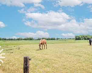 Guest house 621012 - Holiday property Walcheren - ZE668