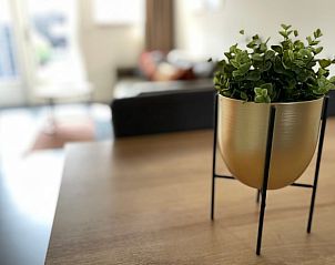 Guest house 621035 - Holiday property Walcheren - Vakantiehuisje in Veere