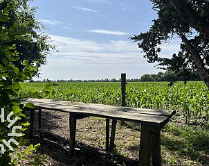 Guest house 621041 - Holiday property Walcheren - ZE119