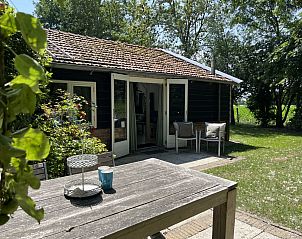 Vacation home ZE120 in Veere, Walcheren with sunny terrace and green garden.
