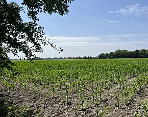 Vacation home ZE120 in Veere, Walcheren with spacious garden and terrace.