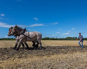 Unterkunft 621108 - Ferienhaus Walcheren - ZE489