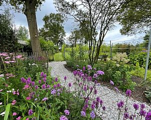 Unterkunft 621110 - Ferienhaus Walcheren - Vakantiehuis in Serooskerke (Walcheren)