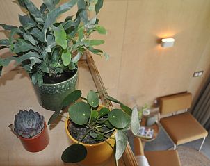 Unterkunft 621110 - Ferienhaus Walcheren - Vakantiehuis in Serooskerke (Walcheren)