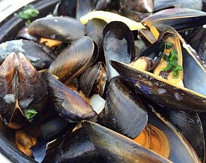 Unterkunft 621117 - Ferienhaus Walcheren - VZ822 Chalet in Veere