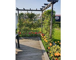 Guest house 621142 - Chalet Walcheren - 128473