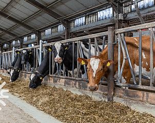 Slaapkamer met eenpersoonsbed in vakantiehuis ZE1265, Meliskerke, Walcheren.