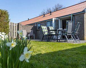 Guest house 621415 - Holiday property Walcheren - Vakantiewoning Olmen