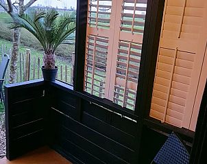 Gezellige buitenruimte bij Vakantiehuis in Middelburg, Walcheren, Zeeland met zitplaatsen en decoratieve planten.