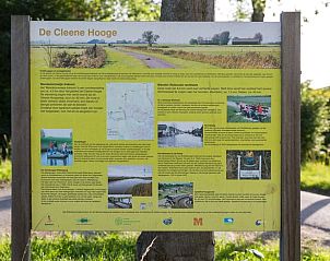 Overdekte veranda van Vakantiehuis in Middelburg, Walcheren, Zeeland met zitplaatsen en natuurlijke decoratie.
