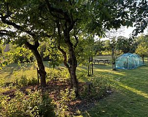 Ruime tuin met bomen bij Huisje in Middelburg, vakantieaccommodatie in Zeeland, Walcheren.