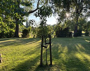 Zonnige tuin met grasveld bij Huisje in Middelburg, vakantieaccommodatie in Zeeland, Walcheren.