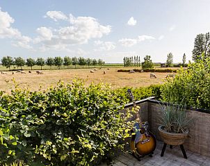 Uitzicht op grazende schapen vanaf het terras van Vakantiehuisje in Middelburg, Walcheren, Zeeland.