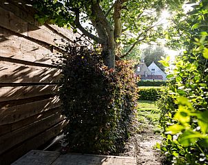 Schaduwrijke tuinpad bij Vakantiehuisje in Middelburg, Walcheren, Zeeland.