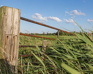 Landelijk uitzicht met houten hek bij Vakantiehuisje in Middelburg, Walcheren, Zeeland.