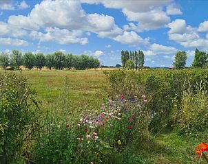 Prachtig landschap in de omgeving van Vakantiehuis in Middelburg, Walcheren, Zeeland met kleurrijke bloemen.