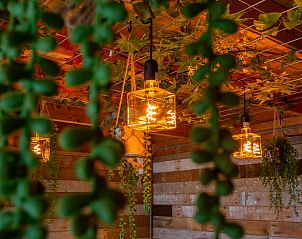 Sfeervolle verlichting in Vakantiehuis in Middelburg, Walcheren, Zeeland met hangende planten en warme tinten.