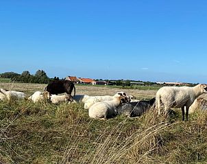 Verblijf 621514 - Vakantiewoning Walcheren - Huisje in Middelburg