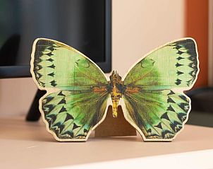 Decoratief detail in Vakantiehuis in Biggekerke, Walcheren, Zeeland, met een groene vlinder die de binnenruimte verfraait.