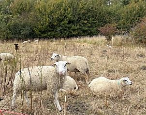 Verblijf 621602 - Vakantiewoning Walcheren - Vakantiehuis in Biggekerke