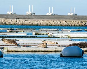 Verblijf 621621 - Vakantiewoning Walcheren - Huisje in Biggekerke