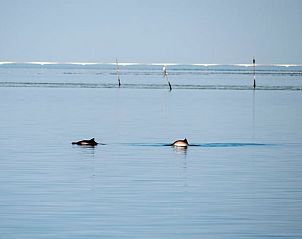 Verblijf 621621 - Vakantiewoning Walcheren - Huisje in Biggekerke