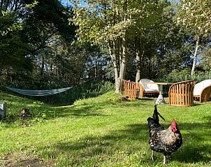Groene tuin met hangmat en kip bij Vakantiehuisje in Biggekerke, Walcheren, Zeeland.