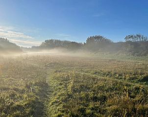 Mysterieuze mistige ochtend in de natuur bij Vakantiehuisje in Biggekerke, Walcheren, Zeeland.