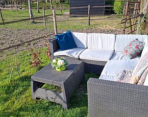 Guest house 622004 - Holiday property Walcheren - De Bloesem