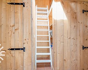 Guest house 622413 - Holiday property Walcheren - ZE056