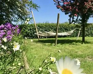 Guest house 622414 - Holiday property Walcheren - ZE125