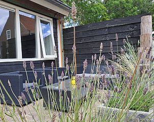 Gezellig terras met lavendel bij Huisje in Grijpskerke, vakantiehuis in Walcheren.