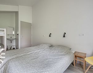 Koeien in de weide nabij vakantiehuis ZE661 in Grijpskerke, Walcheren omringd door natuur in Zeeland.