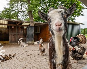 Gezellig dorpsplein nabij ZE646 vakantiehuis in Grijpskerke, Walcheren, Zeeland.